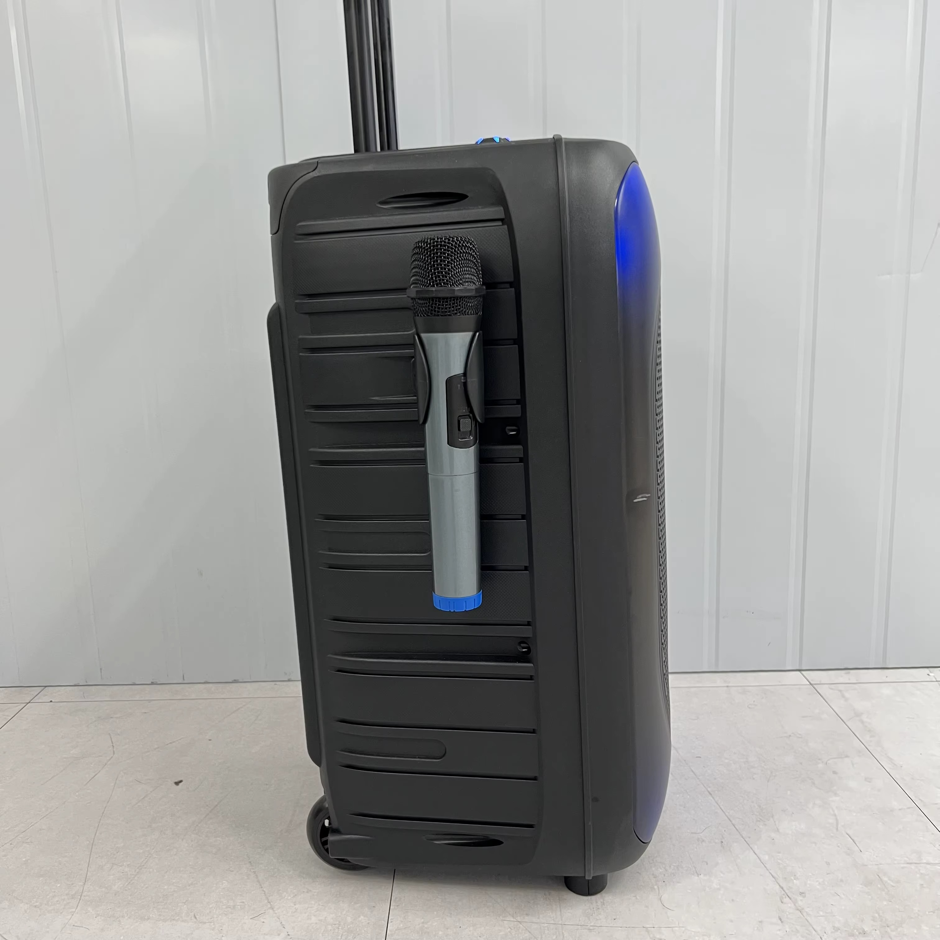 Enceinte Trolley 12 Pouces avec 2 Microphones