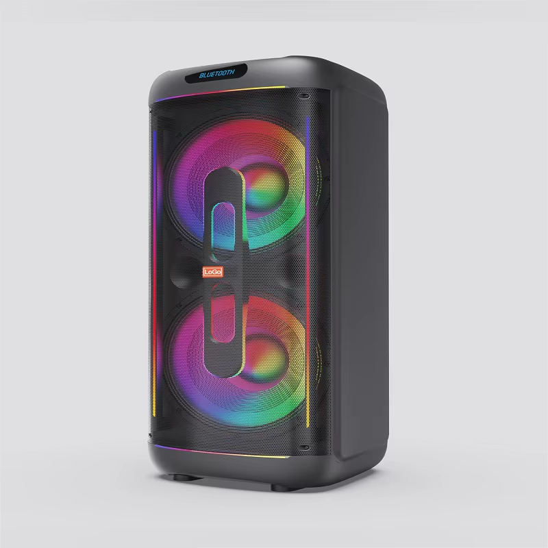 Enceinte de Scène Professionnelle d'Extérieur 1500W